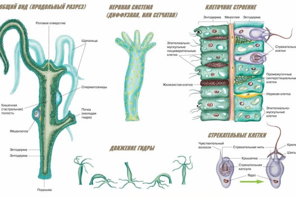 Кракен тор kraken014 com