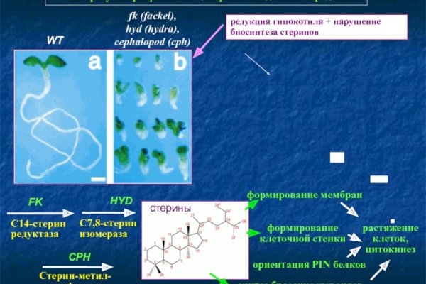 Ссылка кракена kraken clear com