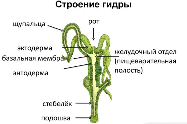 Кракен сайт официальный ссылка kraken clear com